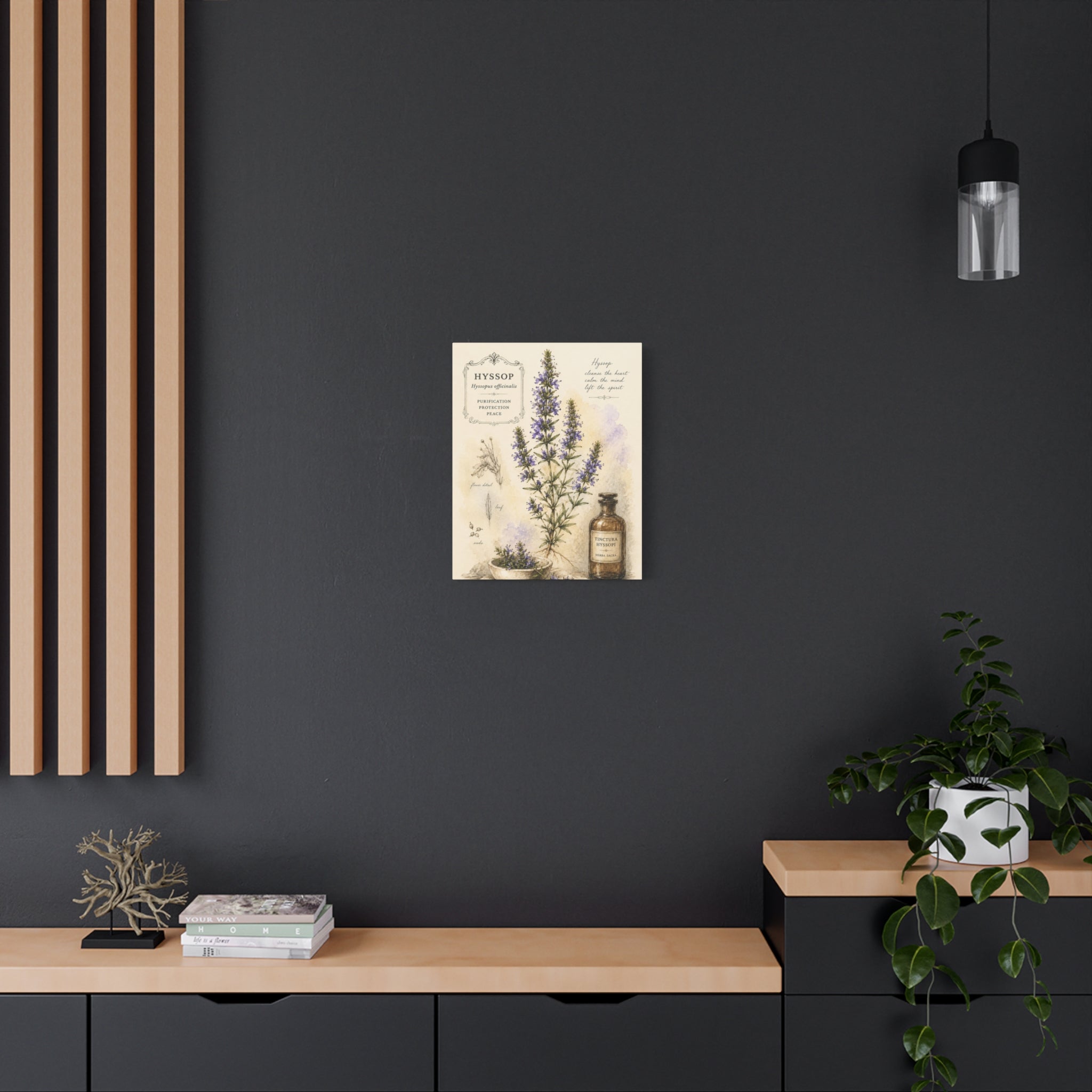 Hyssop Apothecary Botanical Canvas Wall Art