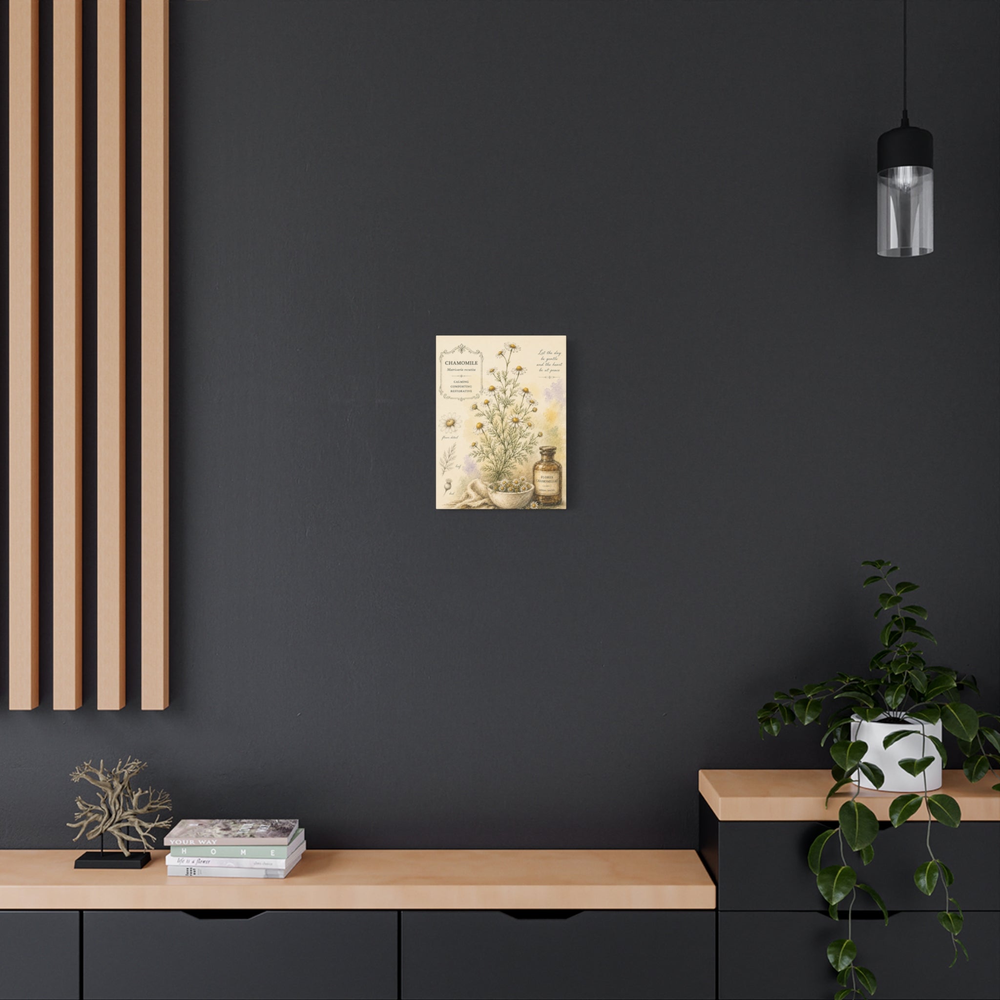 Chamomile Botanical Herbal Wall Art