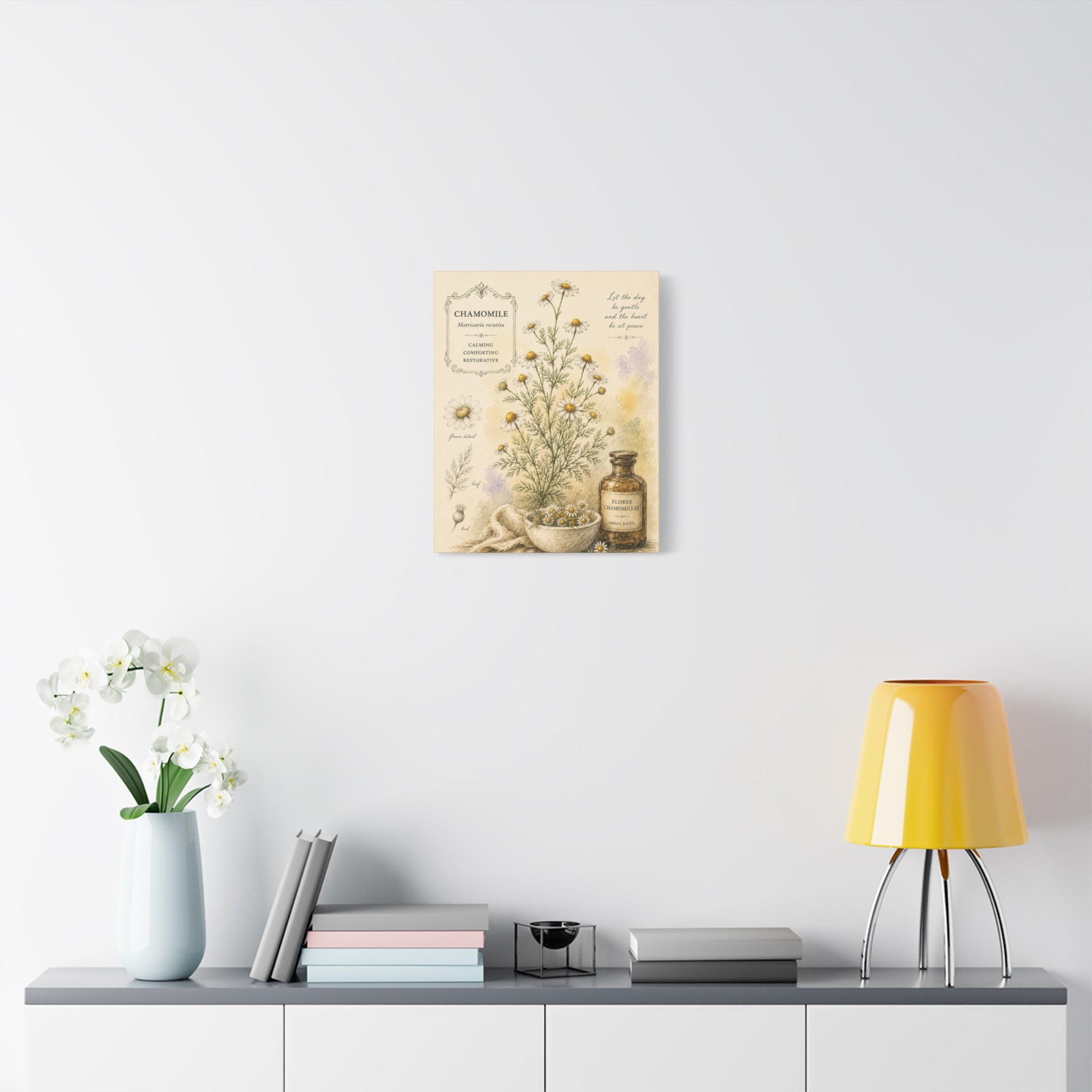 Chamomile Botanical Herbal Wall Art