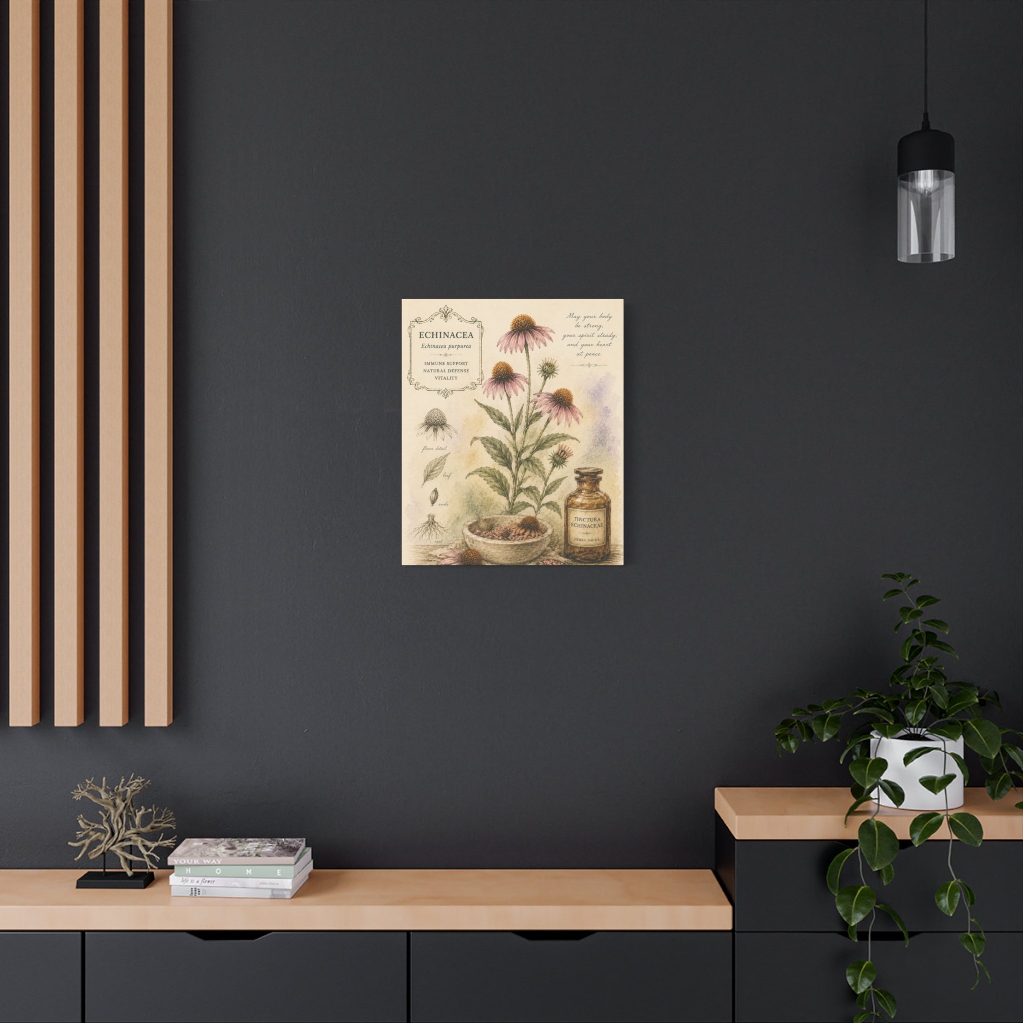 Echinacea Botanical Herbal Wall Art
