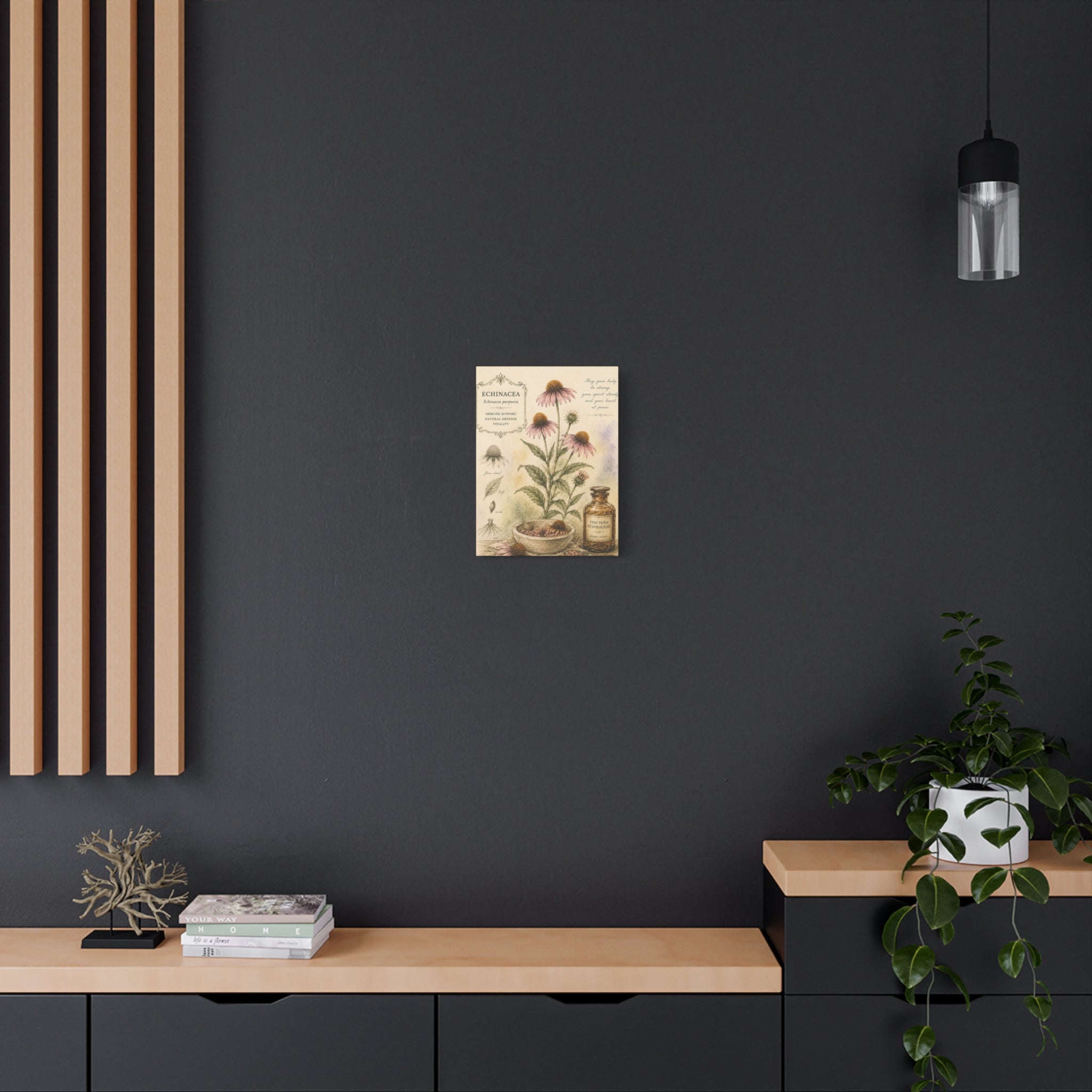 Echinacea Botanical Herbal Wall Art