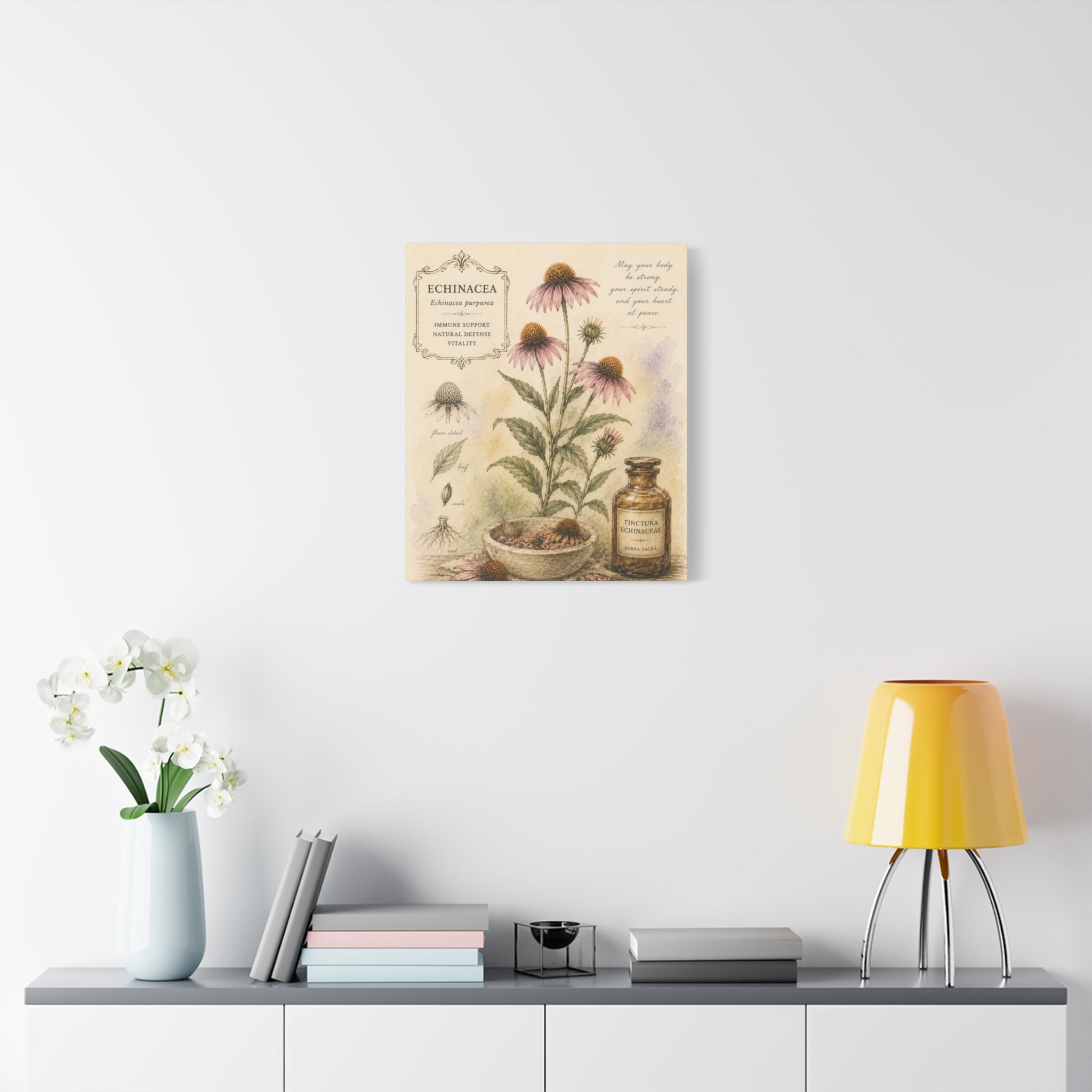 Echinacea Botanical Herbal Wall Art