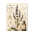 Hyssop Apothecary Botanical Canvas Wall Art