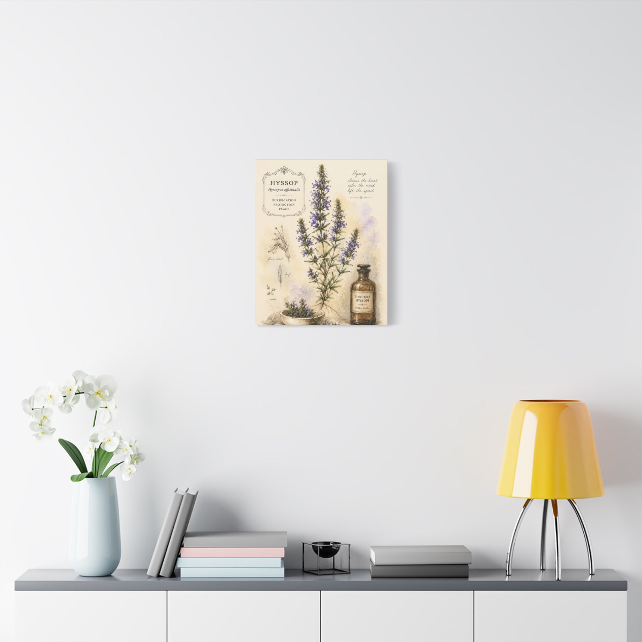 Hyssop Apothecary Botanical Canvas Wall Art