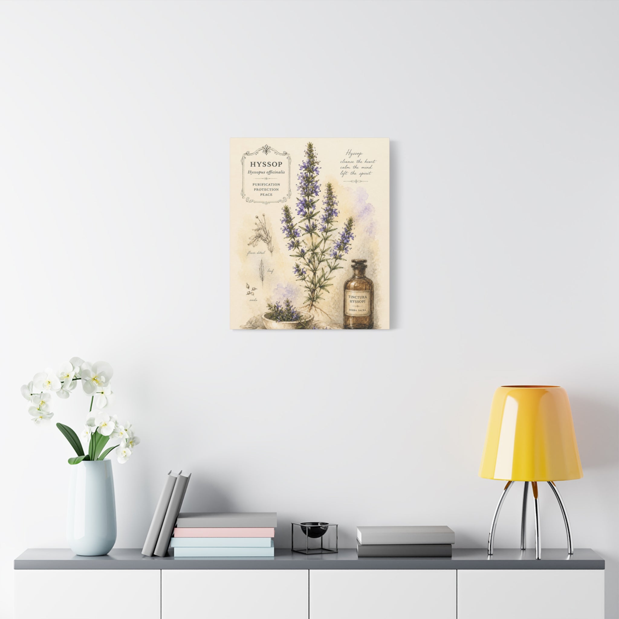 Hyssop Apothecary Botanical Canvas Wall Art