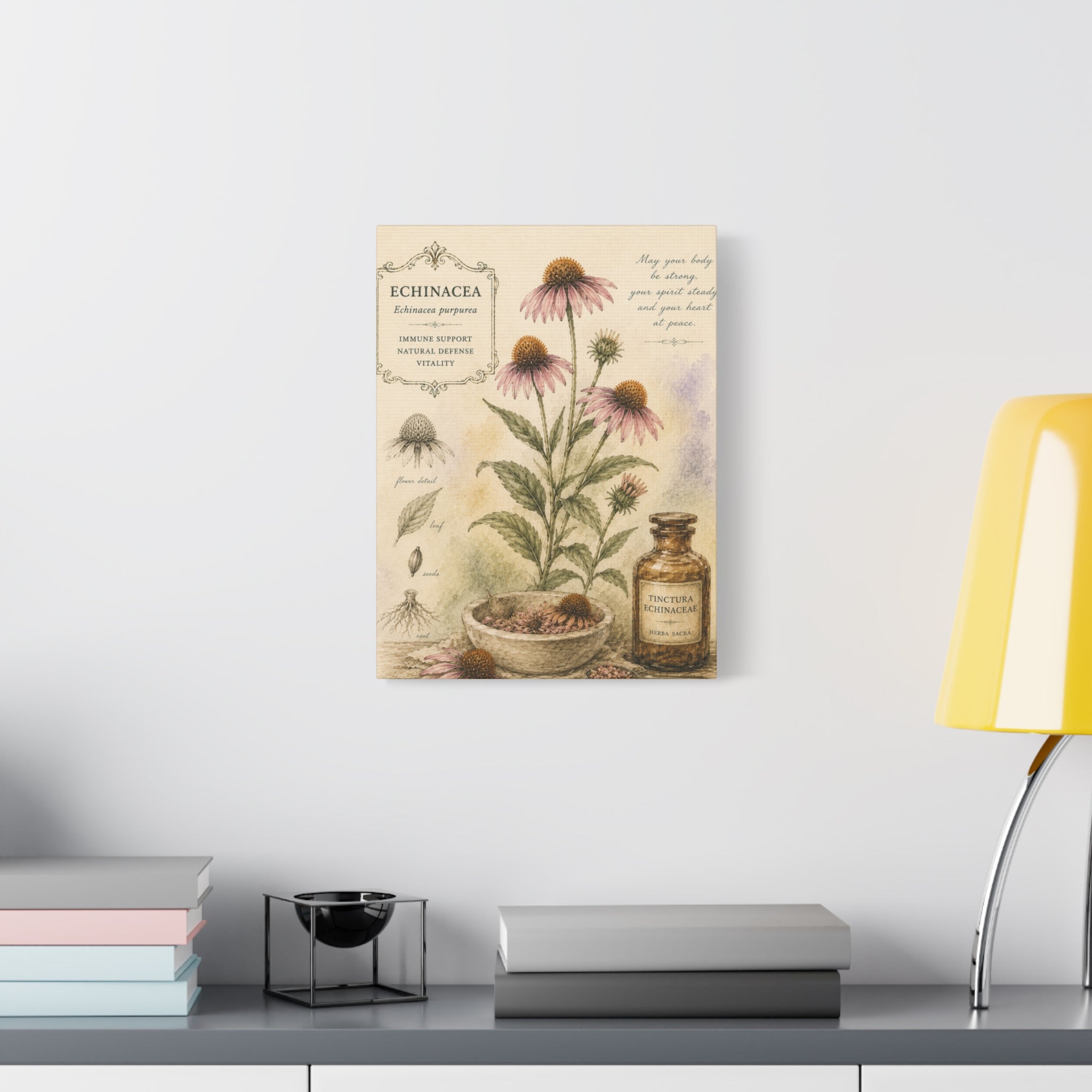 Echinacea Botanical Herbal Wall Art
