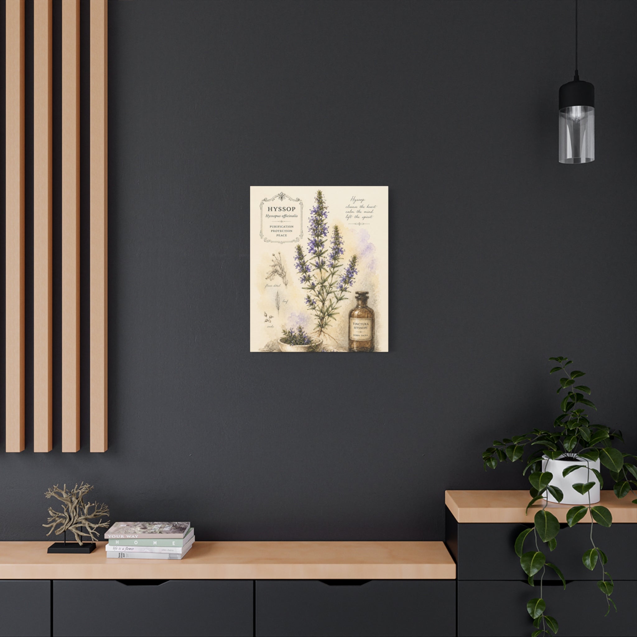 Hyssop Apothecary Botanical Canvas Wall Art