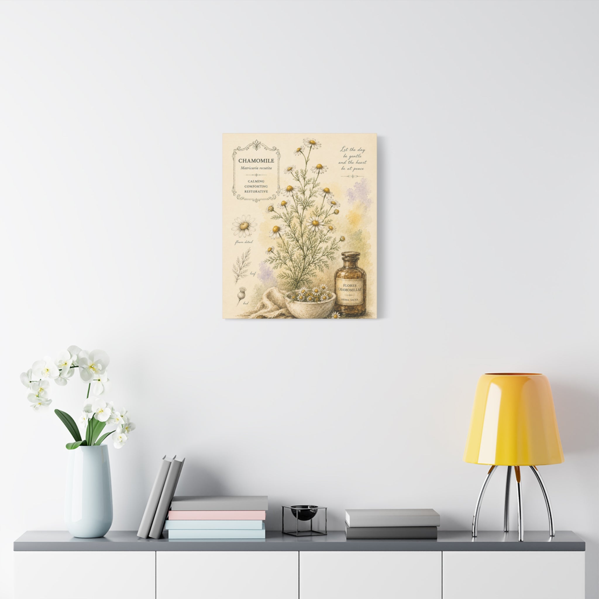 Chamomile Botanical Herbal Wall Art