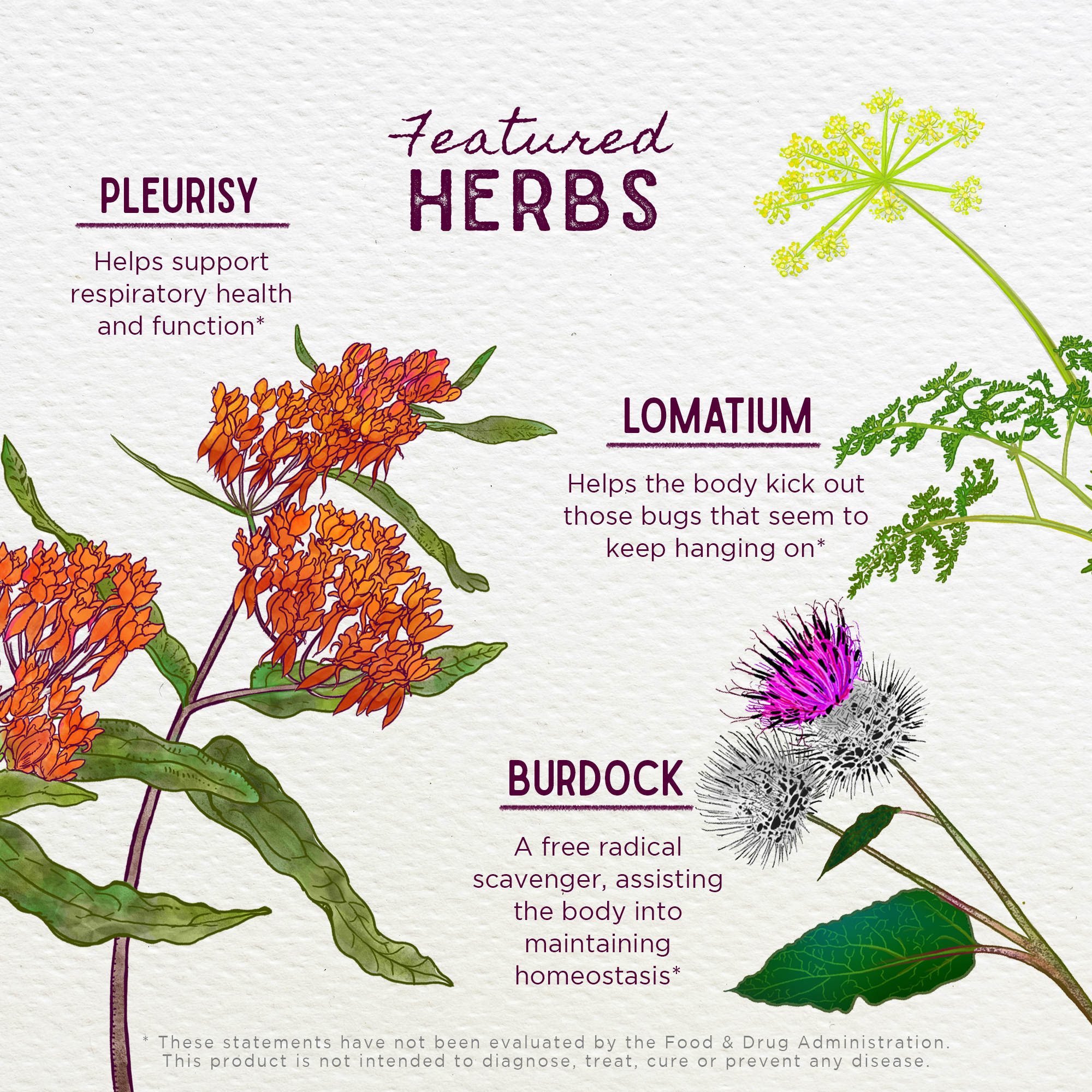 Get Over It! Herbal Immune Recovery Supplement – Post-Illness Support