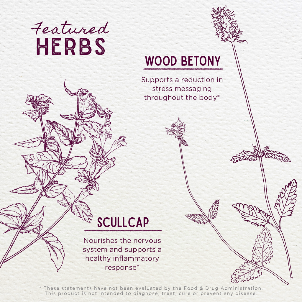 Serious Relaxer – Herbal Muscle Tension Relief Supplement