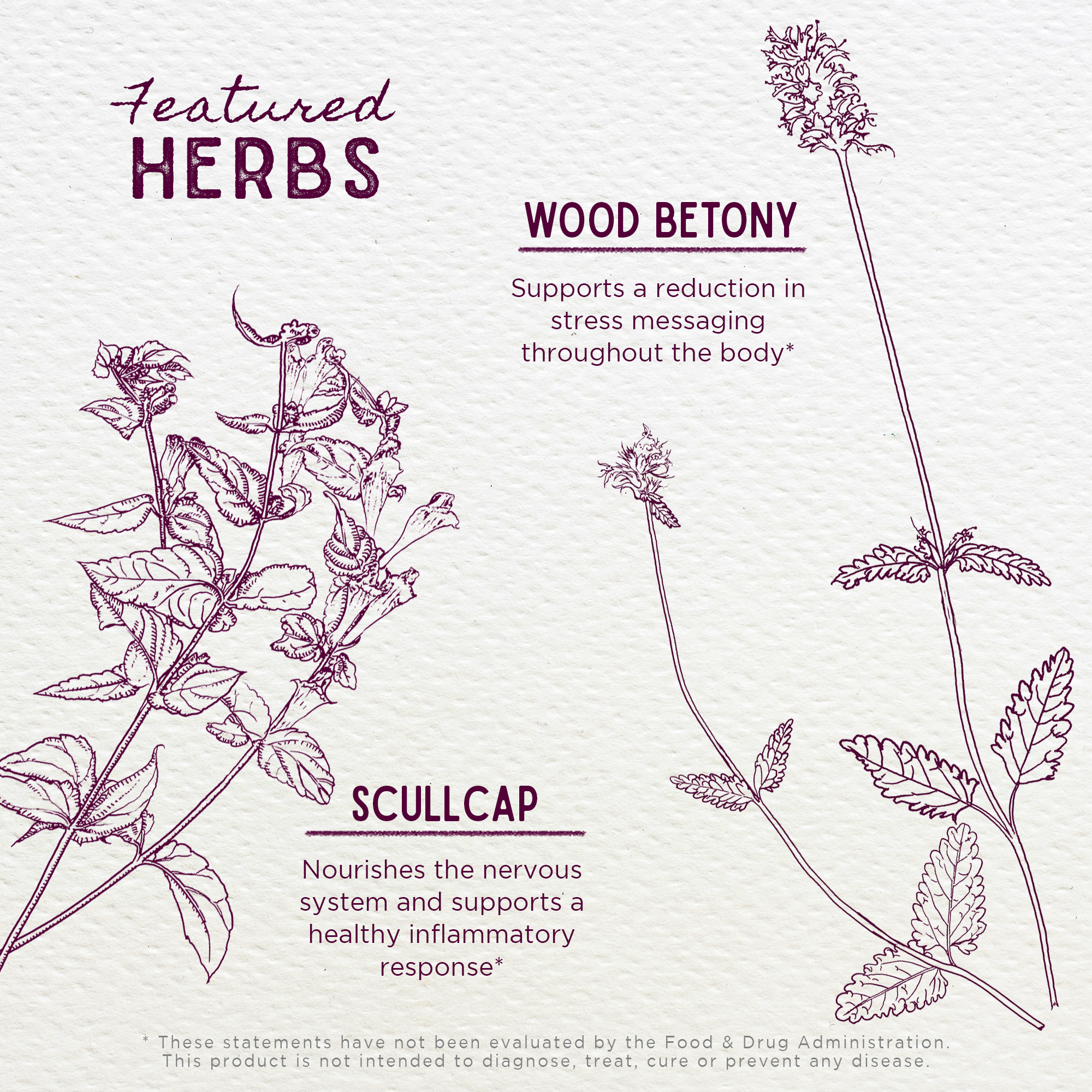 Serious Relaxer – Herbal Muscle Tension Relief Supplement