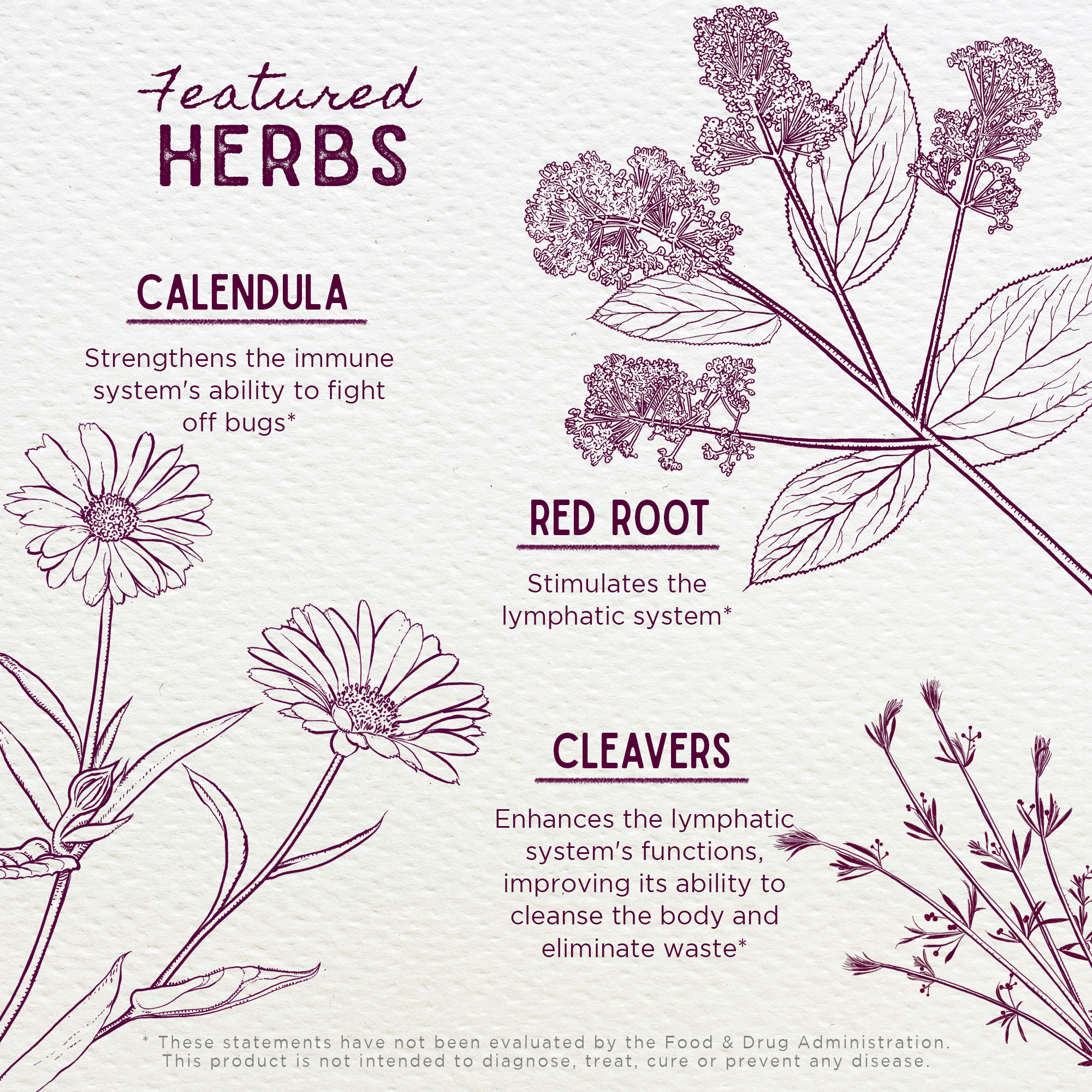 Lymph Mover – Herbal Lymphatic Support & Immune Strength Supplement